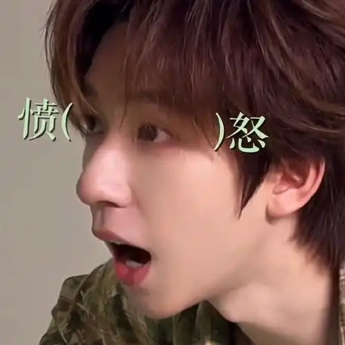 贺峻霖一个人就是一套表情包#贺峻霖咸甜粽子人格分裂