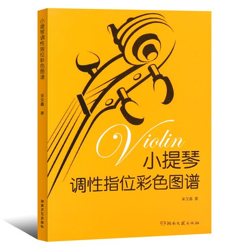 【全彩/赠1-7把位调性指位图】小提琴调性指位彩色图谱 湖南文艺 小