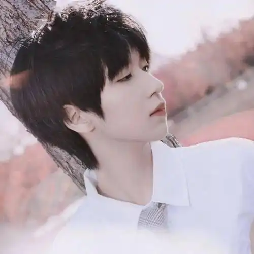 微信头像贺峻霖