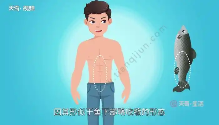 人鱼线是什么 什么是人鱼线