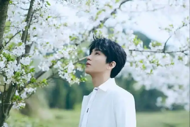 王俊凯贵州拍摄路透##王俊凯白衬衫好清新