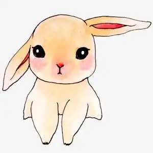 卡通兔子,兔子,动物,可爱,卡通,卡哇伊,萌物系列,宠物