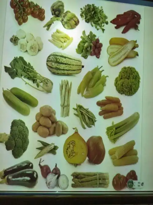 清华小学 清华幼儿园 梦想一班《社会与健康》植物乐园 - 美篇