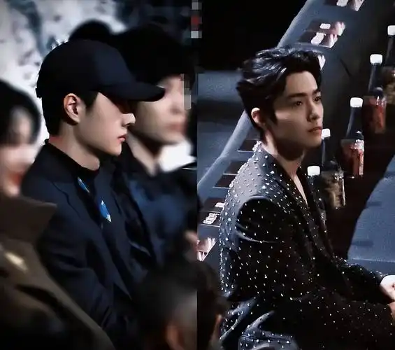 肖战王一博同框,张凌赫白鹿戴同款首饰,胡歌唐嫣刘诗诗并坐_肖战各