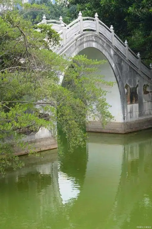 江南风景:小桥流水,令人心驰神往(建议收藏)