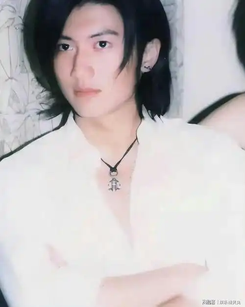 年轻时更是线条分明,五官俊俏,所以大家对谢霆锋 的印象一直都停留在