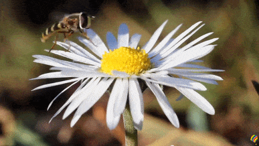 512_288gif 动态图 动图