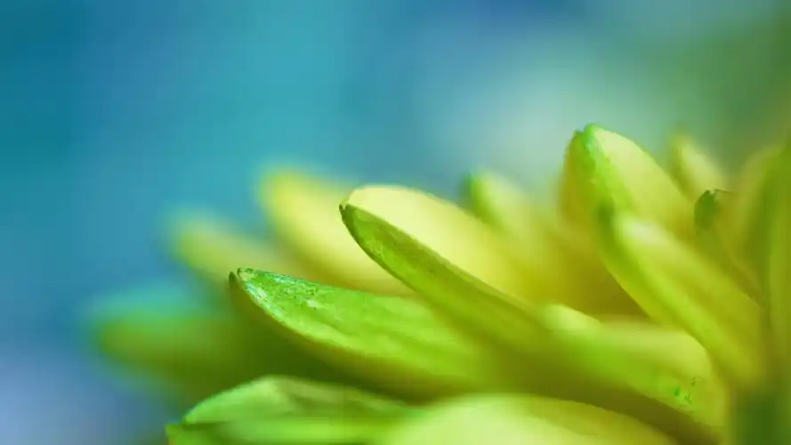 安装元气桌面,海量壁纸一键设置尺寸:3840x2160体积:1.