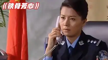 女公安局长廖芳华电视剧 - 西瓜视频