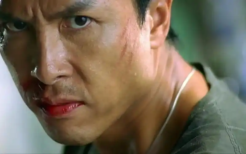 而这些都脱不开他的功劳, 甄子丹.