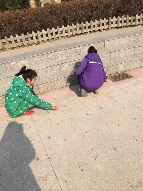 小区广场人员较多,纸屑果皮较多,孩子们就这样一点一点的把它们捡拾