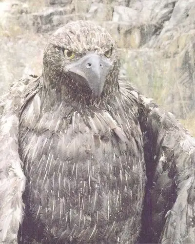 神雕侠侣 片场照 - mtime时光网