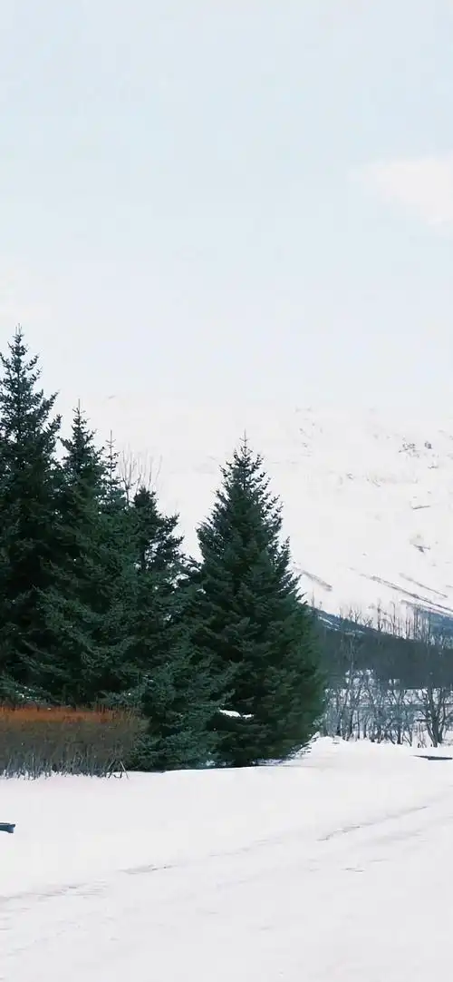 风景系列手机壁纸#无水印壁纸##手机壁纸