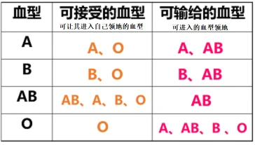 所以,我们之间的关系是这样的ab血型哥哥看到a型哥哥的铠甲衣说:"我的