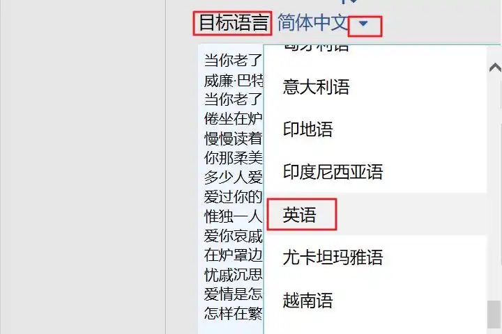 word文档怎样中文翻译成英文?