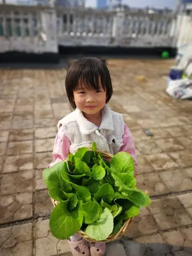 其它 种菜,拔菜,卖菜……劳动实践体验 写美篇最初是在小区门口,结果