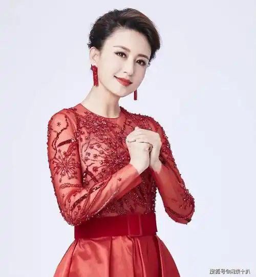 央视主持张蕾:对老家山西一往情深,婚后生一子有艰辛也有温馨_工作