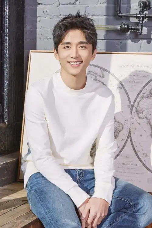 如何评价张新成的五官?