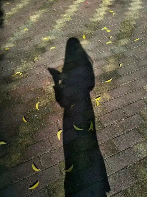 我的内心潜台词:小傻逼,拍了个影子,这么开心,呵呵哈哈哈