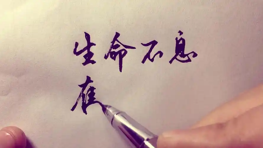 美工笔行书:生命不息,奋斗不止!-教育视频-搜狐视频