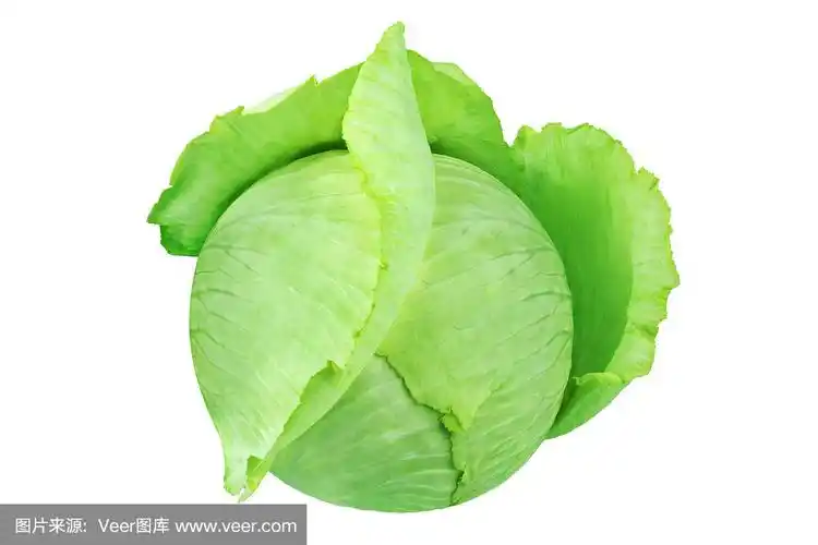 蔬菜,清新,熟的,商品,圆形