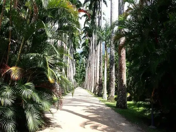 巴西游记之里约热内卢(自然风光篇)