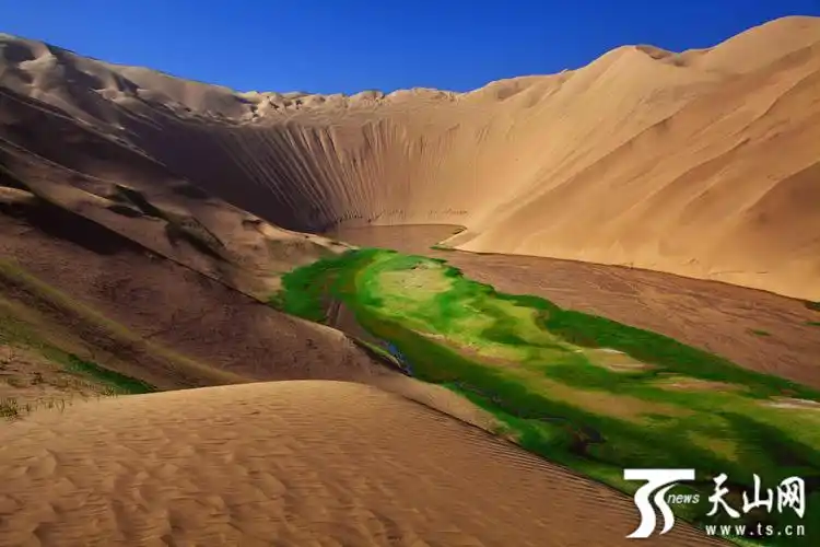 阿尔金山沙子泉