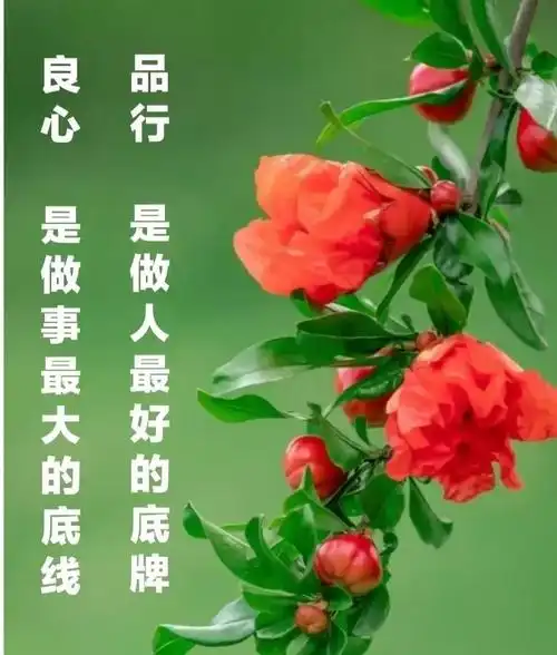 善良正能量的句子经典(有深度有品味的句子)_力贝号