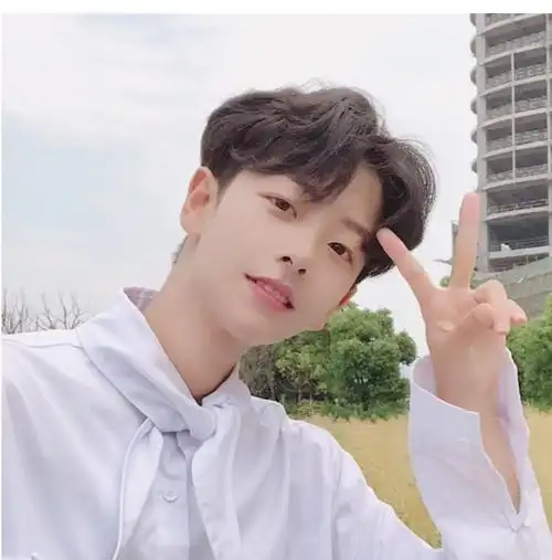 假发男中分刘海短卷发韩版帅气逼真自然蓬松网红学生全头套式 你那么