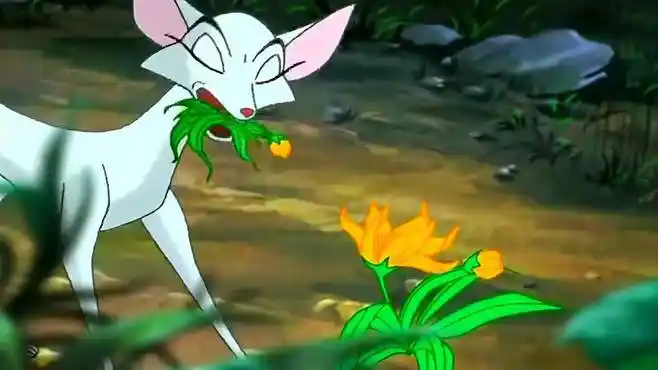 哪吒传奇:九尾狐寻仙草遍体鳞伤,变人形的愿望让她不惧危险-动漫视频