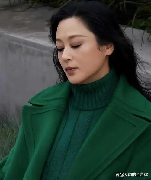 陈红,一个名字,一个传奇.