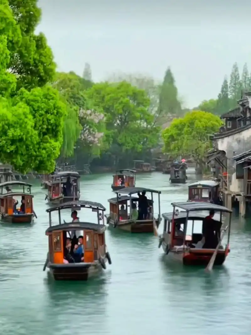 如果生活太压抑,就来乌镇待一个月吧,静下心来,感受这小桥流水 - 抖音