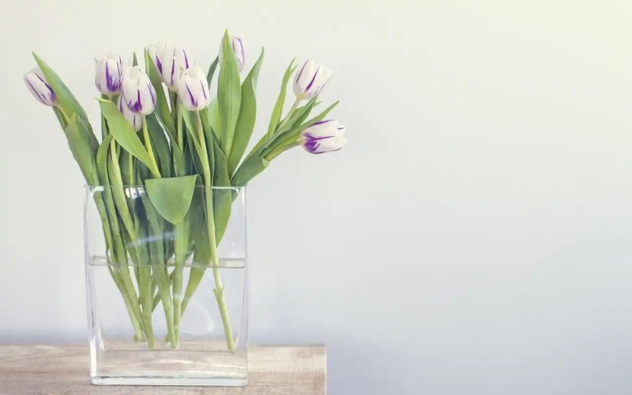 居家花瓶文艺高清桌面壁纸