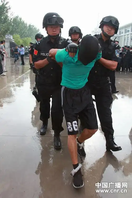 银川持枪抢劫杀人案嫌犯被押解回宁夏组图