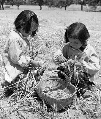 珍贵的童年老照片唤醒不同年代的六一记忆