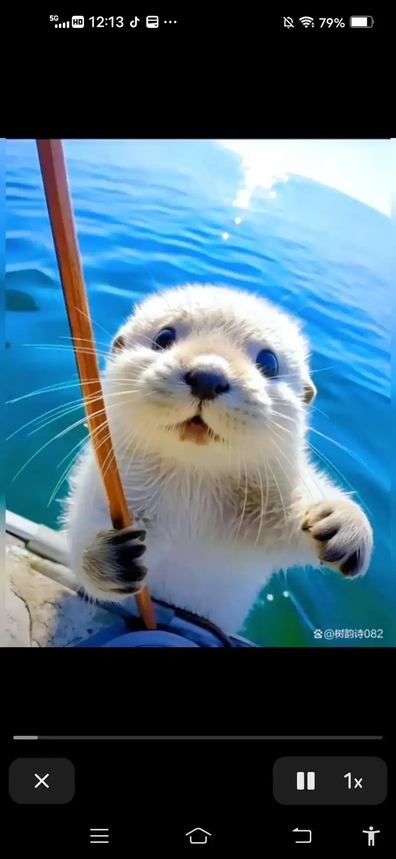 如些可爱的#海洋宝宝 ,弱小可怜又无助 #海洋生物#海豚98 - 抖音