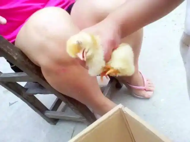 儿科医生紧急提醒!孩子小鸡鸡太小是病,低于这个及格线赶紧看医生!