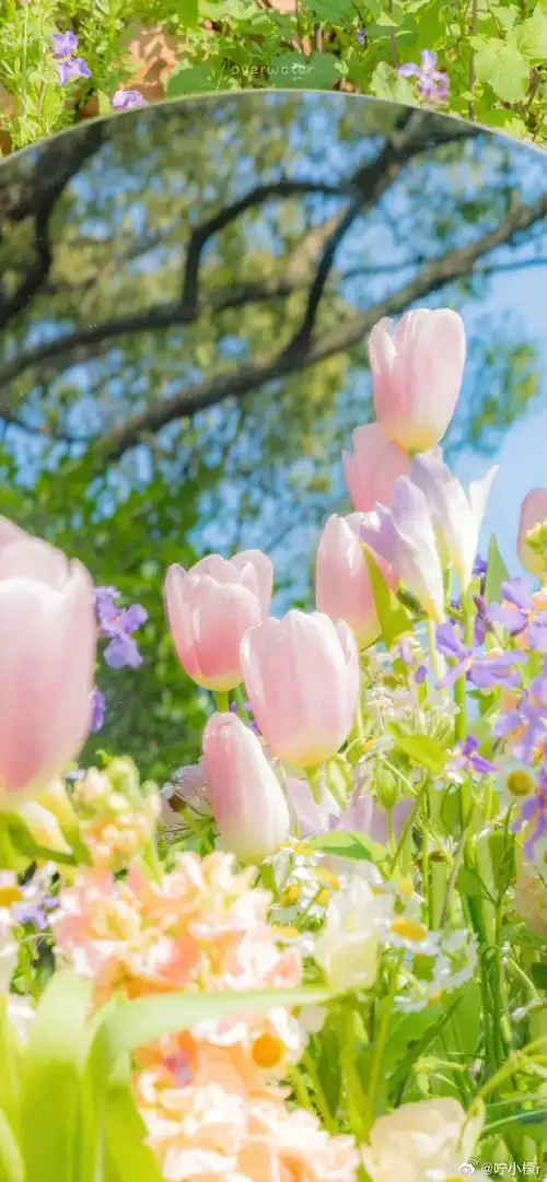 自然美景壁纸,唯美如画