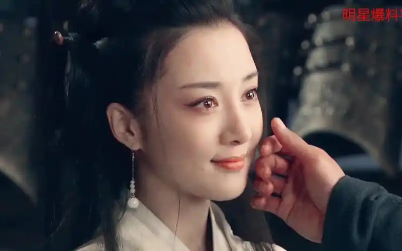 李依晓被叶璇的狗咬毁容之前,演的都是类似虞姬这种绝世美女