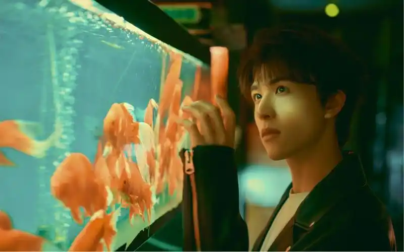 【尹浩宇】闪闪