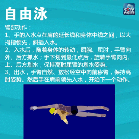 戳图,蛙泳,自由泳,仰泳,蝶泳,动态图片 文字教程↓一次性教你学游泳