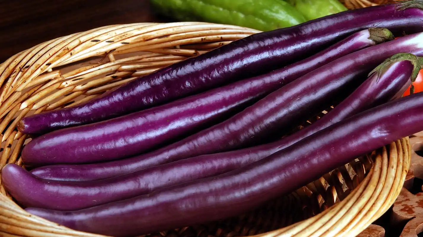 夏天买茄子时,选直的还是弯的?菜农:别再买错了,难吃又浪费钱