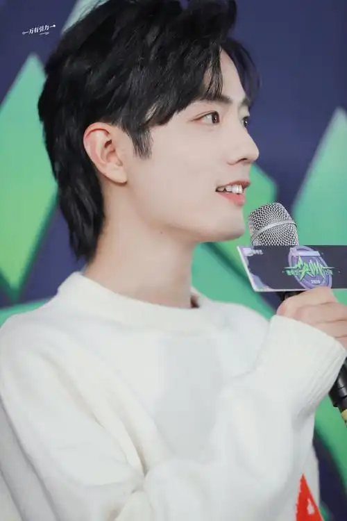 肖战白色枫叶毛衣