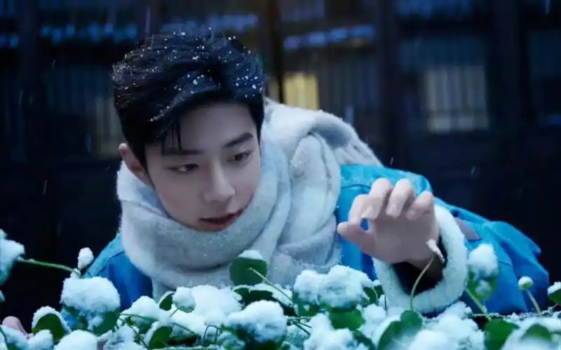【肖战】那个每次见到雪都会很开心的男孩