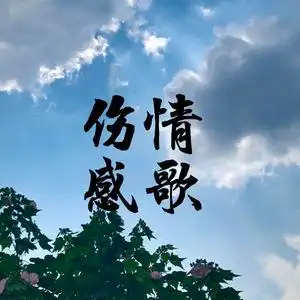小熊音乐头像