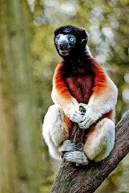 望眼欲穿    "不见爱者"