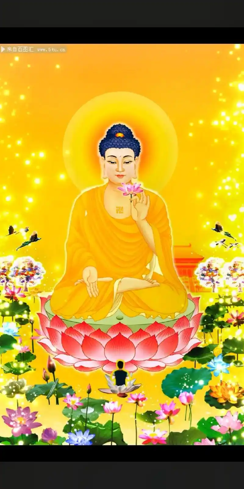 感恩所有的相遇 #阿弥陀佛 #祈祷一切平安 #感恩一切遇见 - 抖音