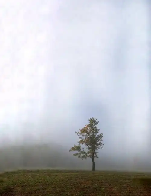 孤独是心灵中一种别样的风景