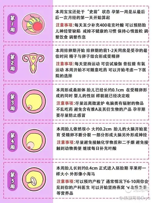 分泌物,需要考虑几种情况: 1,先兆流产是孕早期胎儿不稳定的一个阶段