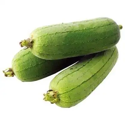 早熟肉丝瓜种子清香肉丝瓜香丝瓜高产长丝瓜种子丝瓜籽